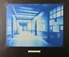 VERNACULAR World War I-era University of Illinois class album with more than 110 wonderful